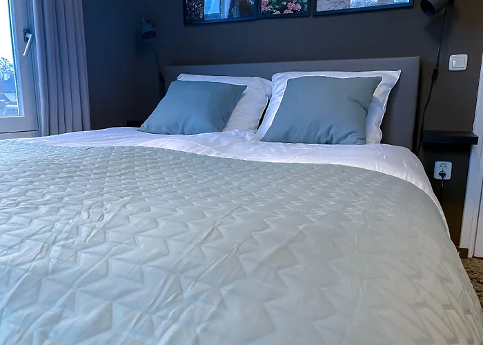 De Slapende Hollander - Economy 卡茨休维尔